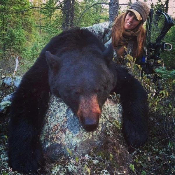 Baiting Bears - Bear Baiting - Bear Hunting Magazine