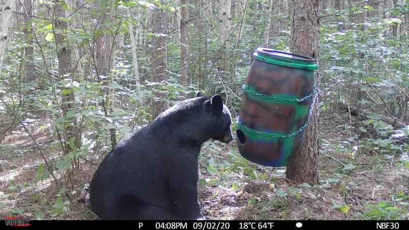 All About Barrels - Bear Baiting - Bear Hunting Magazine