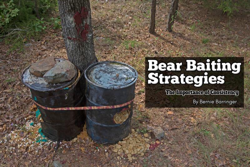 Bear Baiting Strategies: The Importance of Consistency - Bear Baiting - Bear  Hunting Magazine