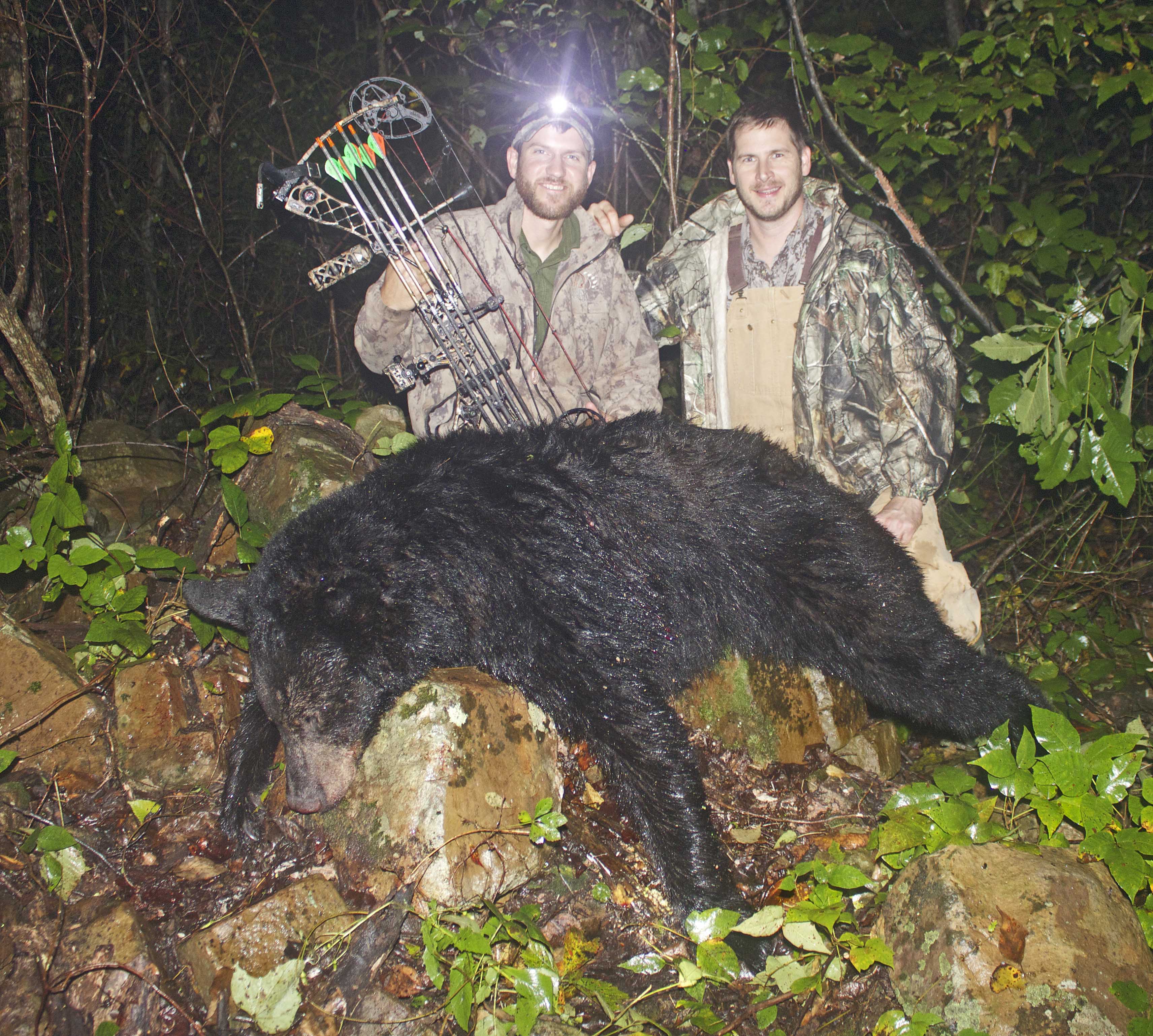 oklahoma black bear hunting